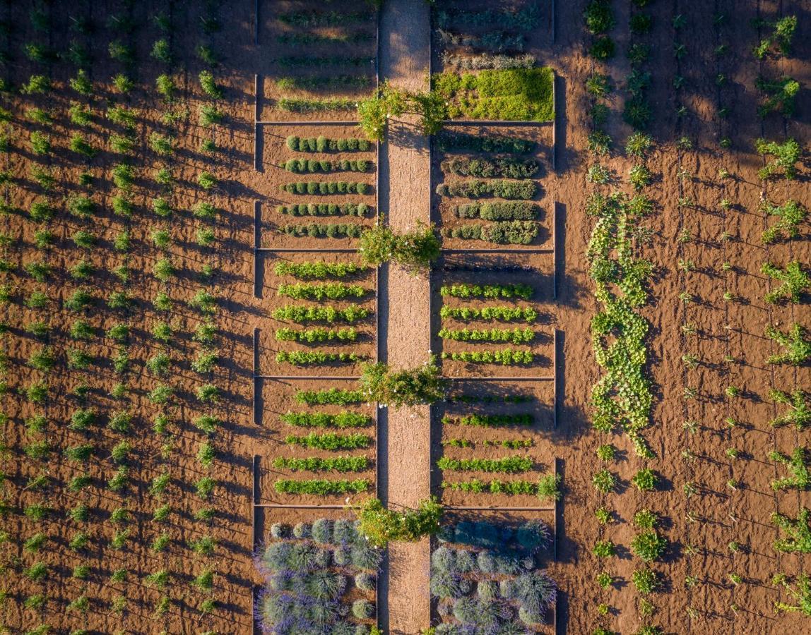 Chateau De Valmer La Croix-Valmer Esterno foto