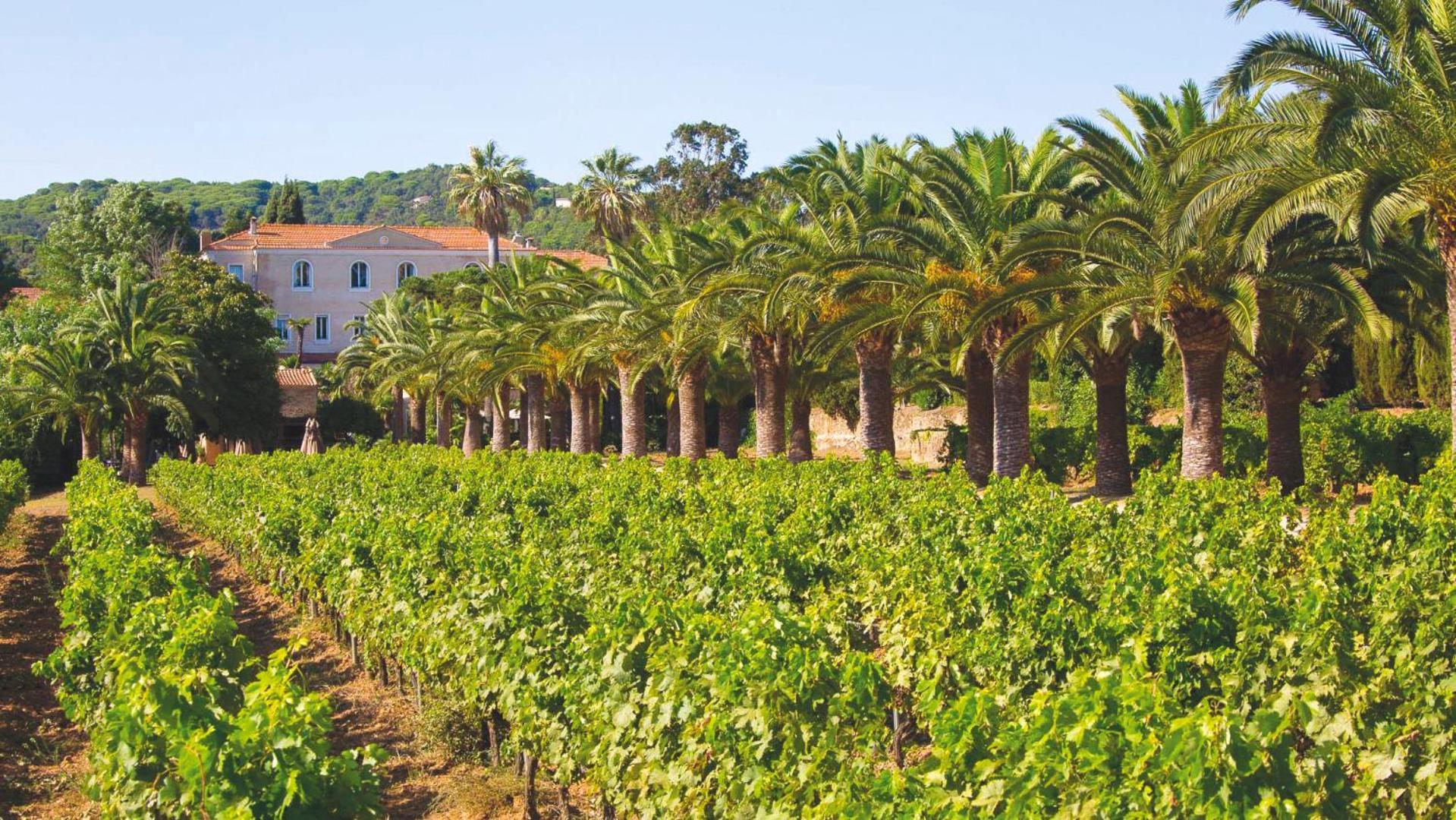 Chateau De Valmer La Croix-Valmer Esterno foto